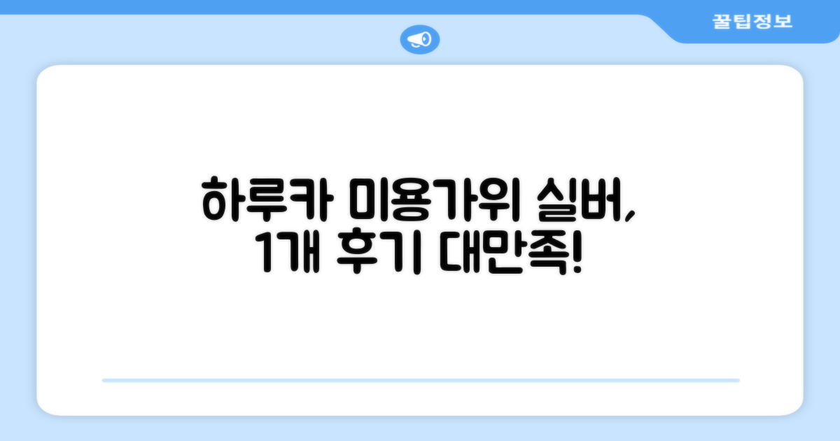 하루카 미용가위 세트, 실버, 1개 추천 리뷰