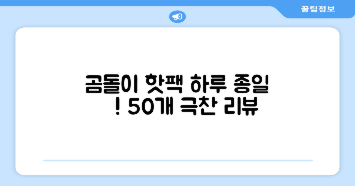 곰도리 하루종일 촥~ 붙이는 핫팩 장시간 고급형, 50개 추천 리뷰