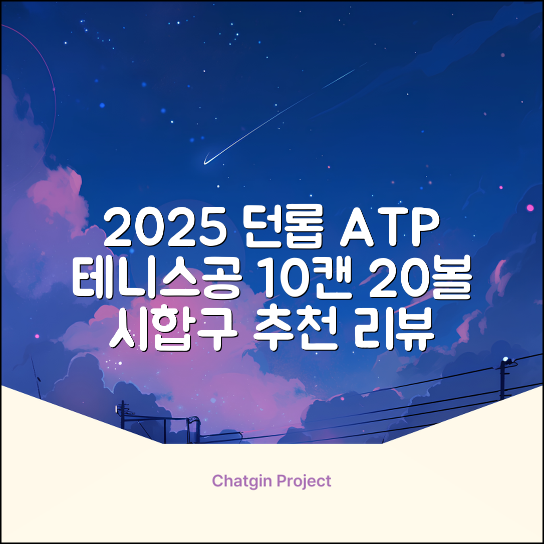 2025 던롭 ATP 테니스공 10캔 (20볼) 시합구, 던롭 ATP볼 10캔 (20볼), 10세트 추천 리뷰