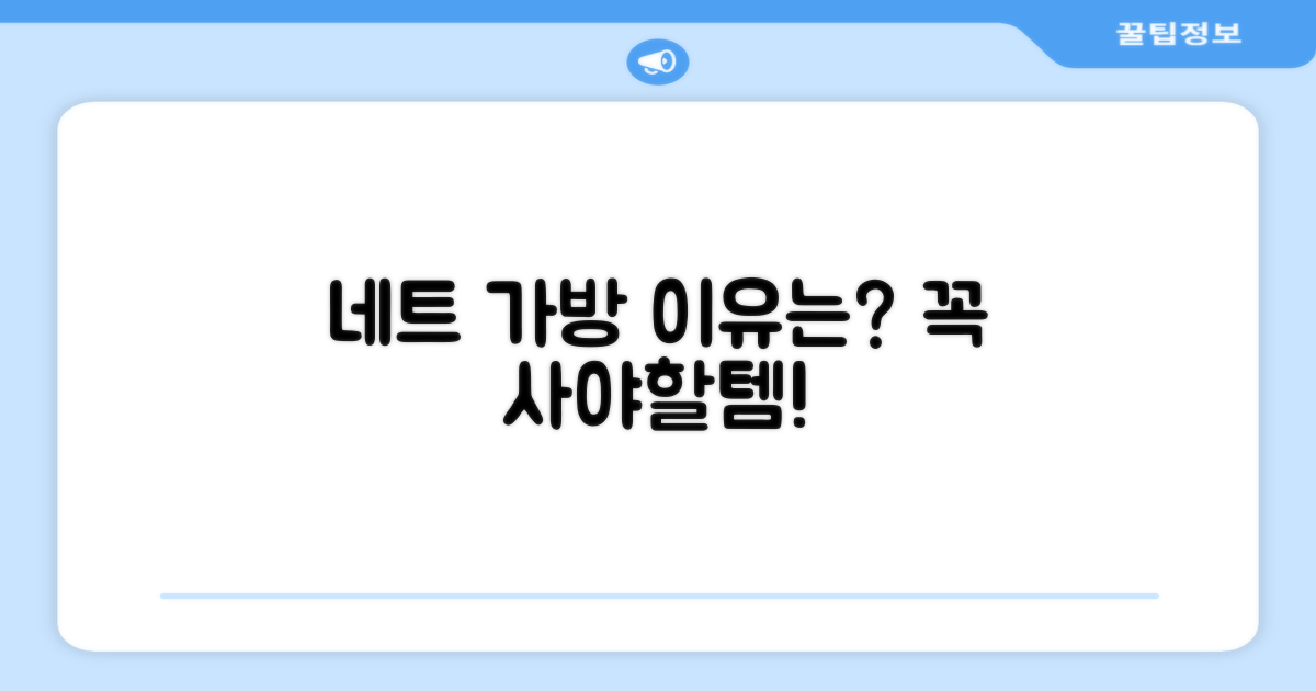 네트 가방, 왜 추천할까?