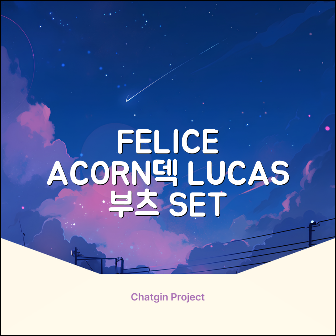 FELICE 장비세트6 ACORN데크 바인딩 LUCAS부츠, WESTSIDE 레드154+바인딩M, 1개 추천 리뷰