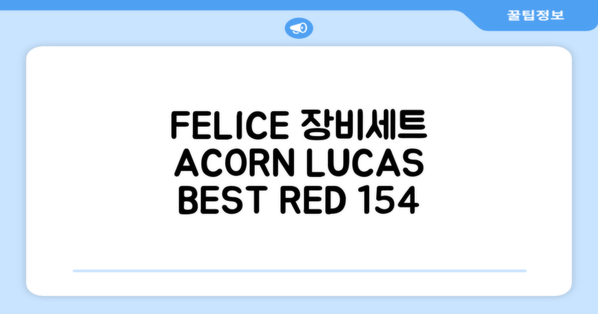 FELICE 장비세트6 ACORN데크 바인딩 LUCAS부츠, WESTSIDE 레드154+바인딩M, 1개 추천 리뷰