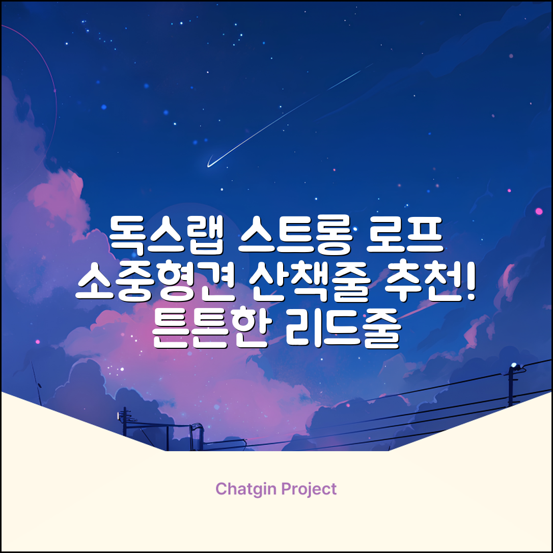 독스랩 1.5m 2m 3m 5m 스트롱 로프 소형견 중형견 대형견 줄 강아지 리드줄 산책줄, 블랙, 1개 추천 리뷰