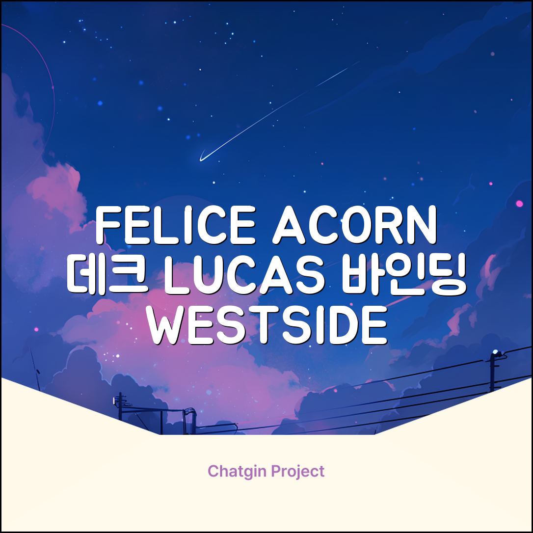 FELICE 장비세트6 ACORN데크 바인딩 LUCAS부츠, WESTSIDE 레드154+바인딩M, 1개 추천 리뷰