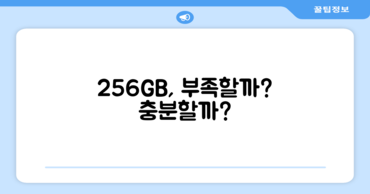 256GB 저장 공간, 충분할까?